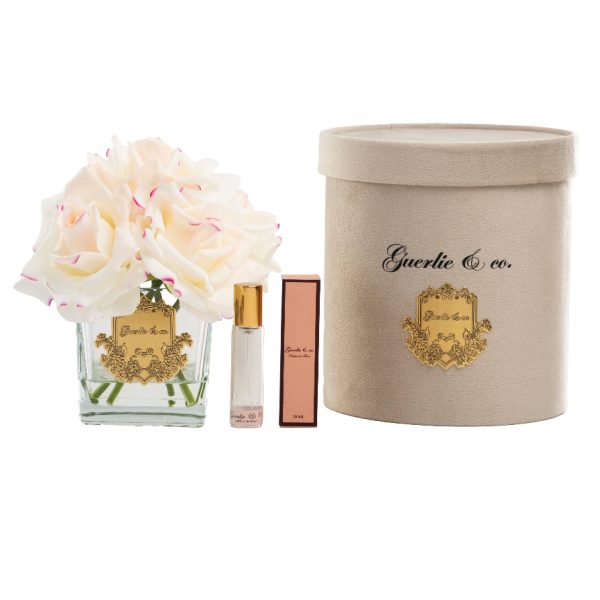 Krem Pembe 5 Gül Kare Cam Gold