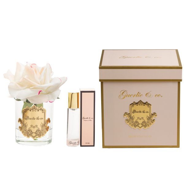 Krem Pembe Tek Gül Gold